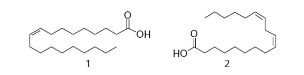 Struttura degli acidi grassi maggiori dell'olio d'oliva, (1) acido oleico, (2) acido linoleico (Amanda e al., 2010)