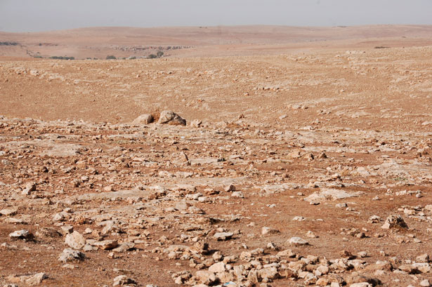 Deserto roccioso, Marocco
