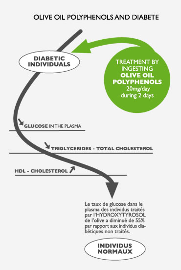 Olive oil polyphenols and diabete